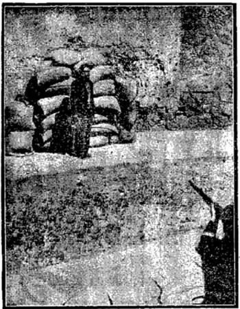 Ejecución José de León Toral