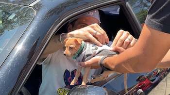 Diego Campillo, jugador de Chivas, se vuelve tendencia tras firmar un perro Chihuahua