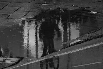 El proyecto Fotomuseo tendría en