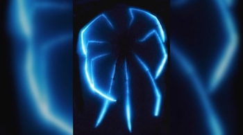 Araña marina luminosa abisal, primera aproximación a la luminiscencia de los picnogónidos