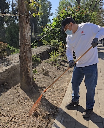 Brigadistas, diputado y personal de salud atienden a vecinos de Santo Domingo, en Coyoacán, durante las jornadas comunitarias que combinan limpieza de espacios públicos y servicios médicos gratuitos tras denuncias por acumulación de basura