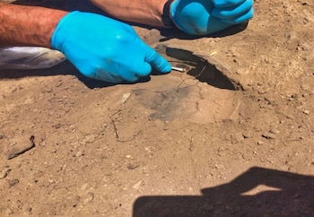 Ahora, con las evidencias en