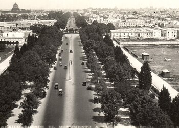 La Glorieta de la Palma