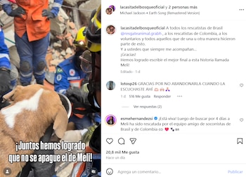 La Casita del Bosque Oficial agradeció a los rescatistas, voluntarios y equipos de Colombia y Brasil que participaron en la operación. - crédito @Lacasitadelbosqueoficial/Instagram