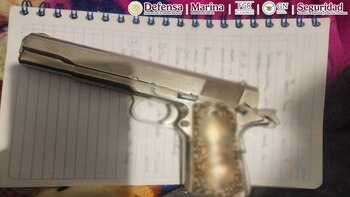 Arma asegurada a David "N",