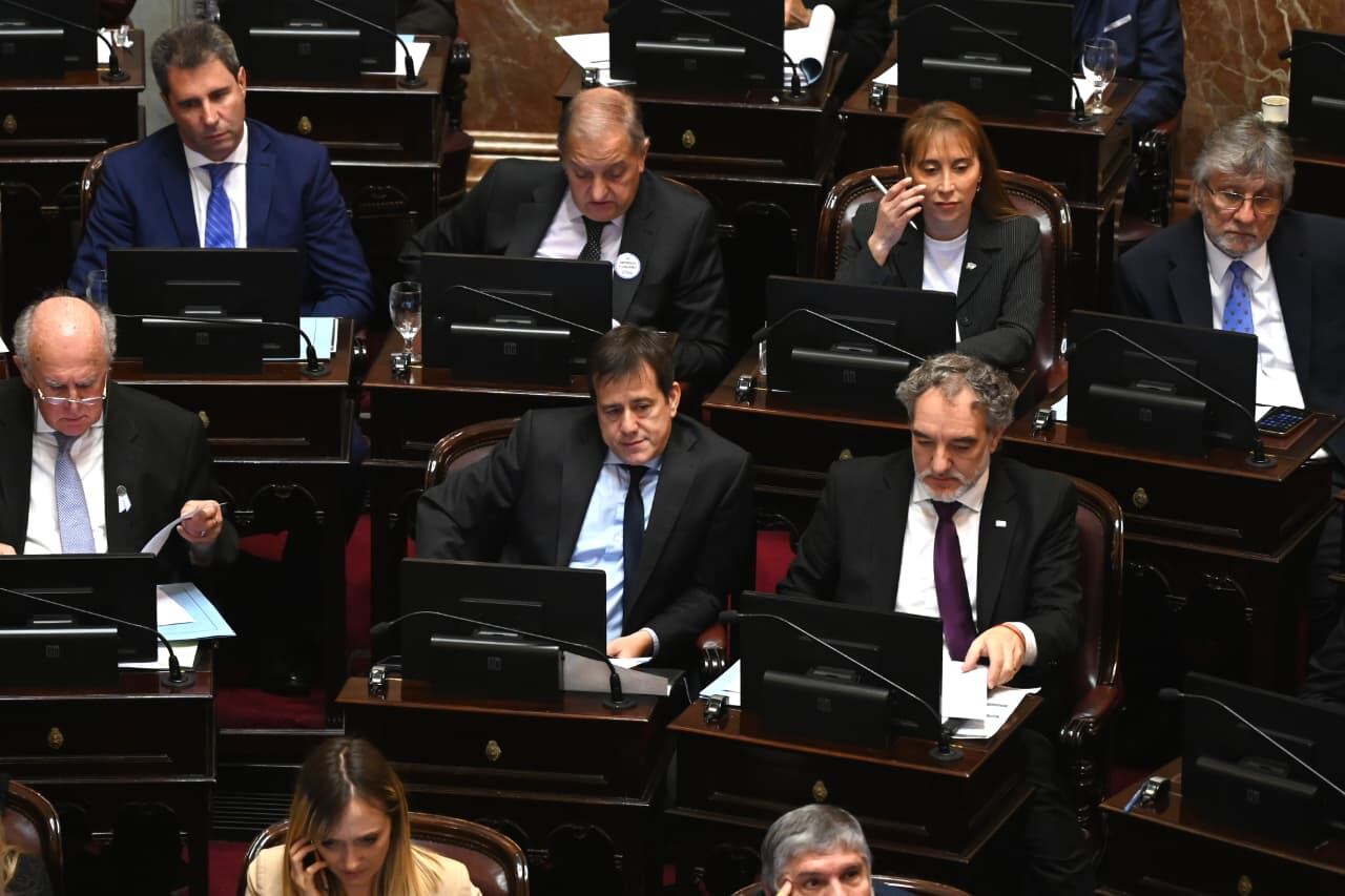 Los bloques opositores criticaron la disolución de organismos: RS Fotos