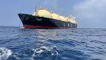 El Gobierno habilitó al sector