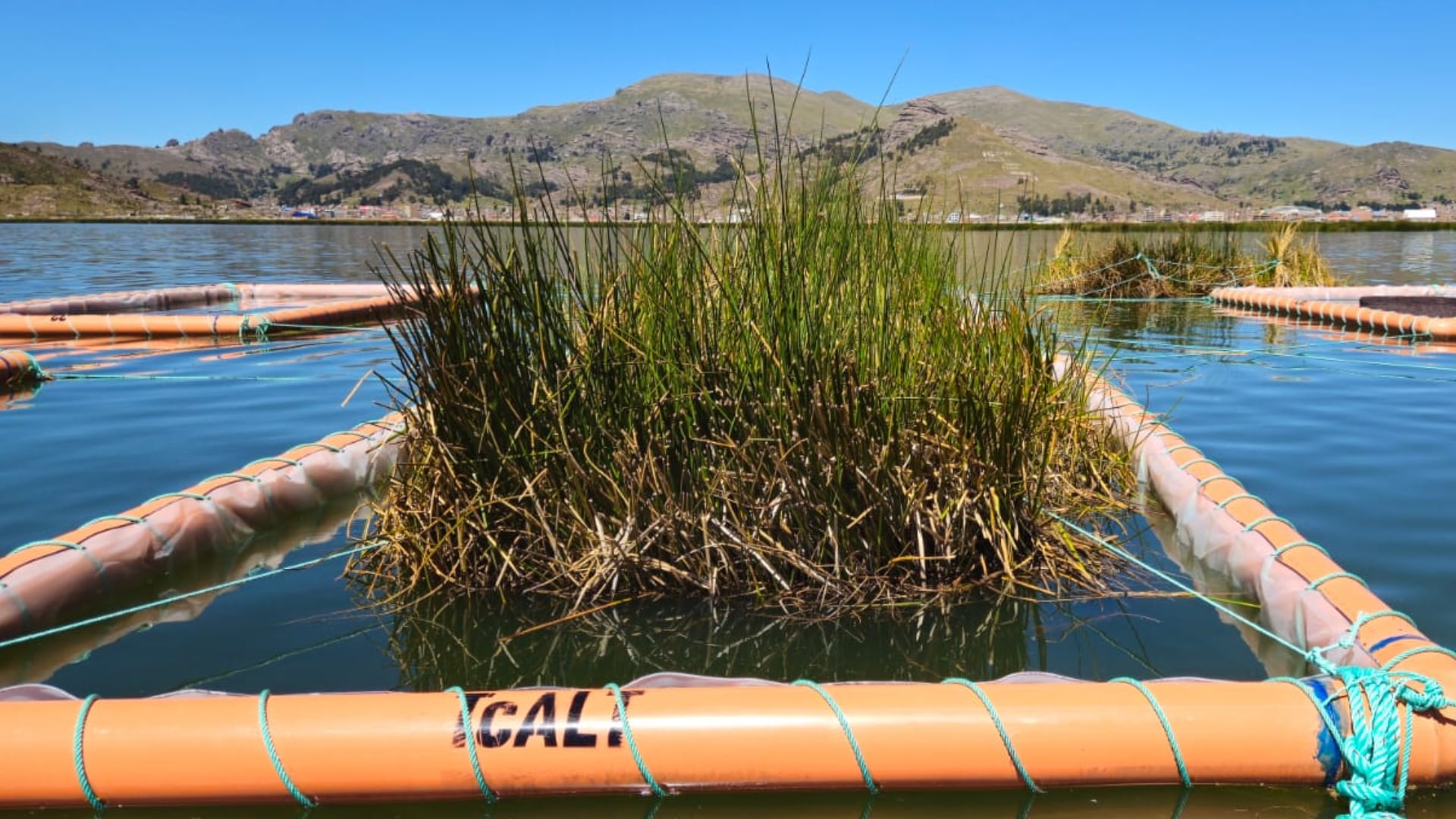 Sistema natural busca reducir contaminación en el lago Titicaca
