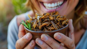 Los diez insectos comestibles más