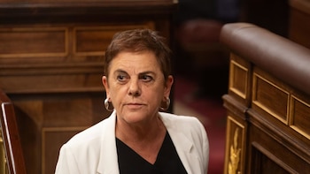 Bildu insiste en que su