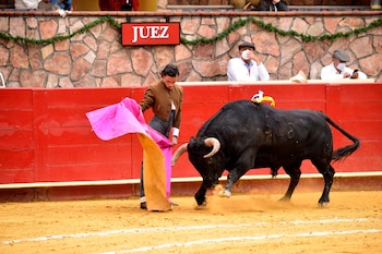 En México, solamente cuatro estados