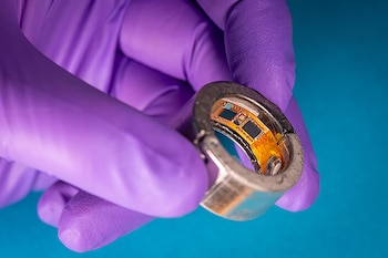 Una mano con guante púrpura sujeta un anillo metálico que muestra circuitos electrónicos en su interior, sobre un fondo azul liso