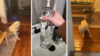 Muchos usuarios exigieron que se