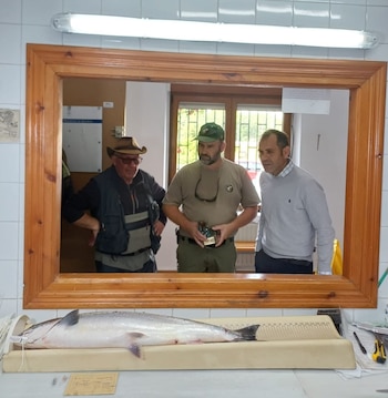 El alcalde de Cangas de Onís, José Manuel González, el presidente de El Esmerillón, Antón Caldevilla, y el pescador Iván Alonso, junto al 'campanu'. (Ayuntamiento de Cangas de Onís/Europa Press)
