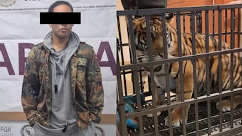 Capturan a extranjero y aseguran