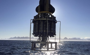 Un estudio reciente, publicado en