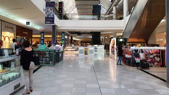 Muy pocos visitantes en los