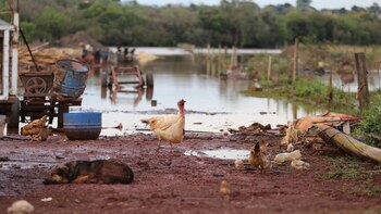 Los barrios más afectados de