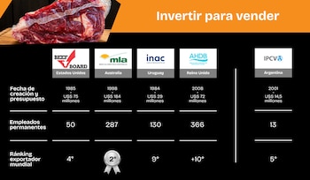 Gráfico comparativo de promoción de la carne