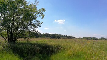 El gobierno bonerense busca expropiar