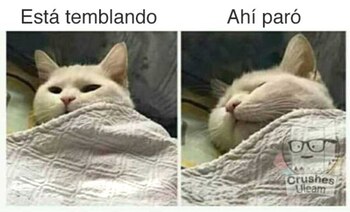 Estas fueron las mejores reacciones