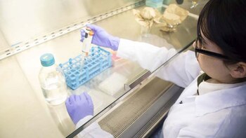 Este día destaca la labor