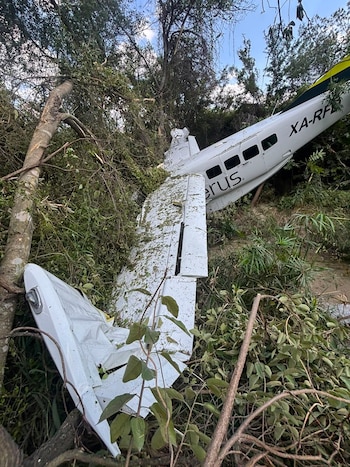 avioneta NL
