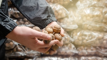 Mendoza refuerza controles en rutas