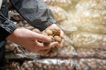 La coordinación entre autoridades y