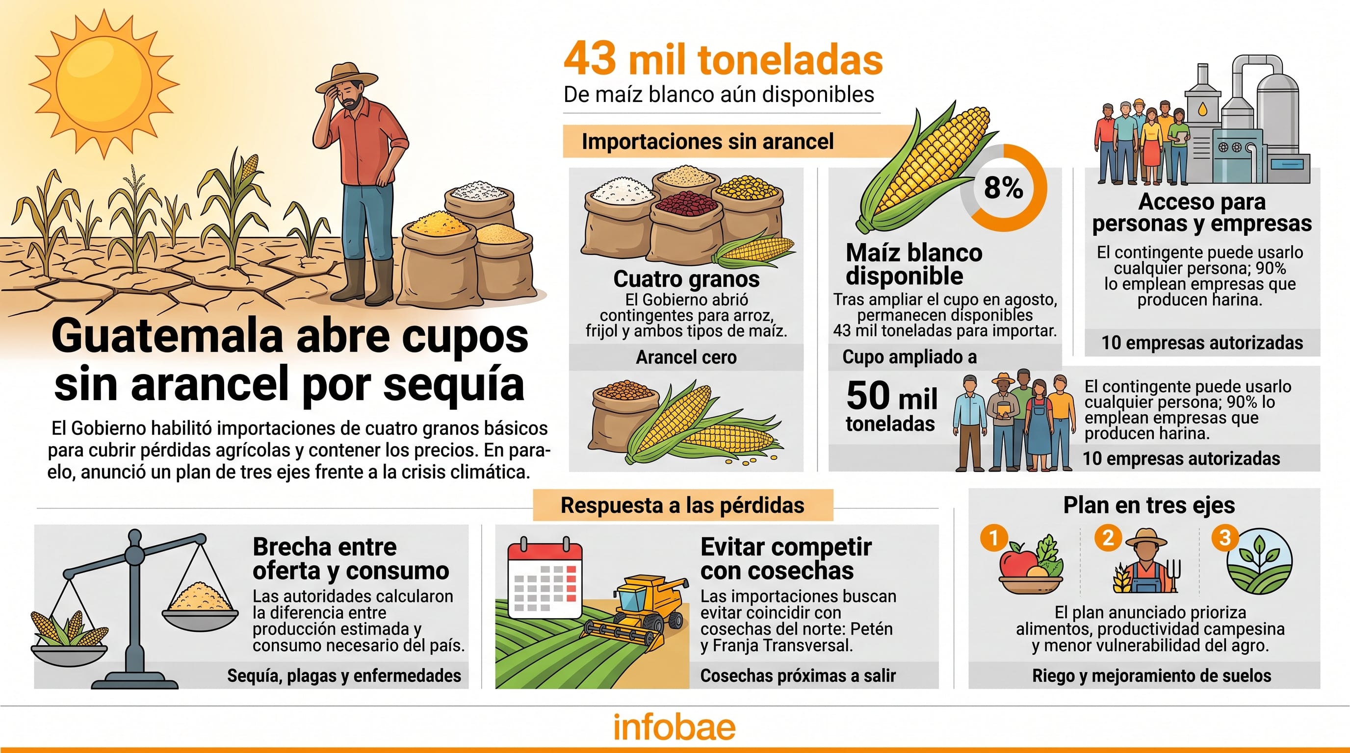 El Gobierno de Guatemala habilita la importación sin arancel de cuatro granos básicos para mitigar los efectos de la sequía y contener el alza de precios en el país. (Imagen Ilustrativa Infobae)