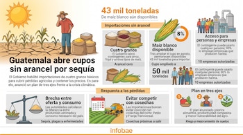 Infografía con un agricultor en un campo seco, sacos de granos, una mazorca de maíz, gráficos de sectores e iconos sobre medidas agrícolas.