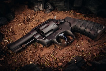 Nuevos valores en el portafolio