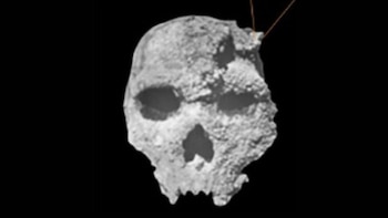 Descubrieron en Grecia un cráneo