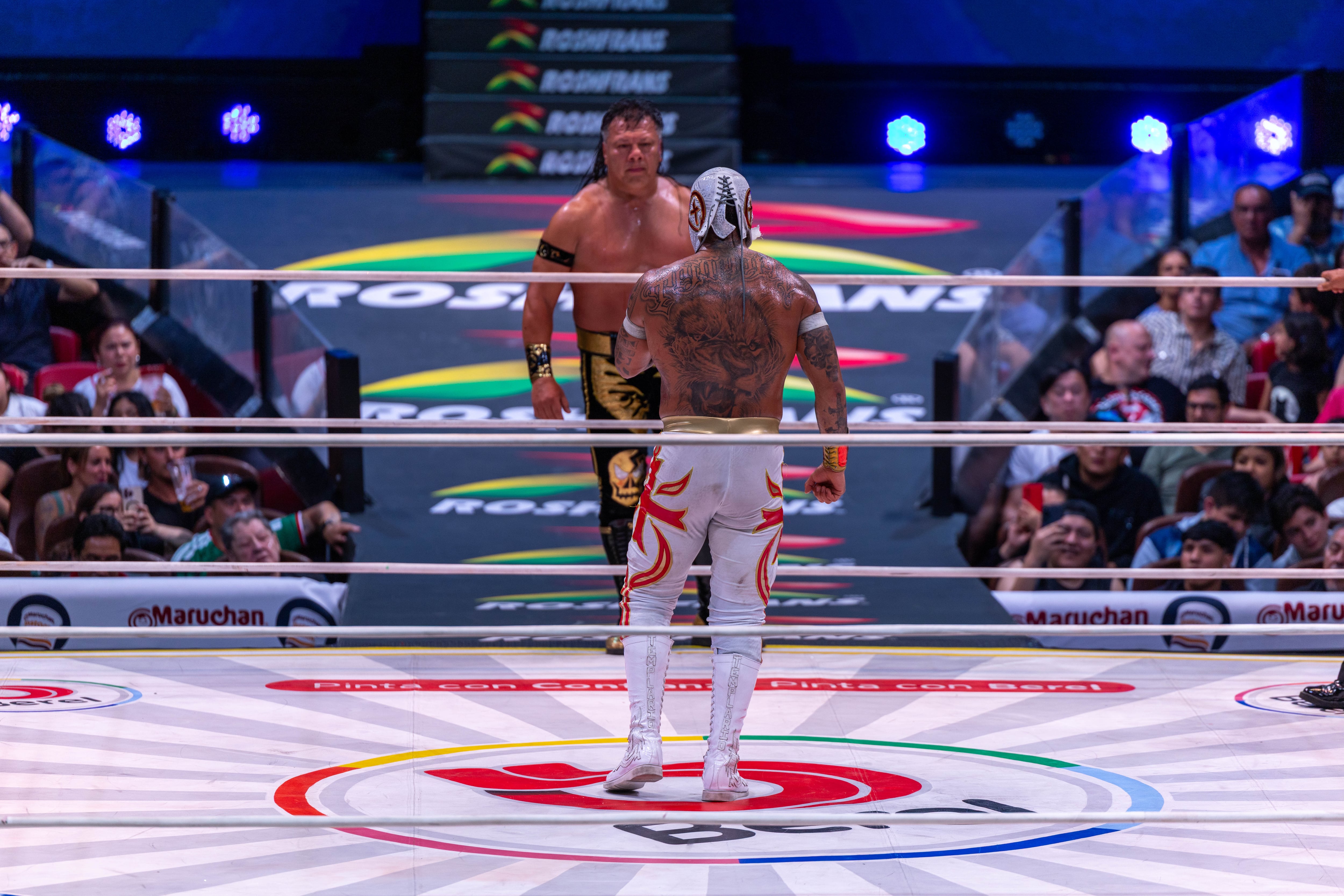 Maestro contra alumno: Templario y Último Guerrero están listos para jugarse la máscara y la cabellera