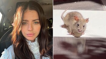 La China Suárez tuvo una