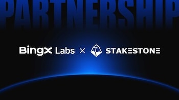 Imagen 446QBXJONVEDHPTJA4UKROWVGM