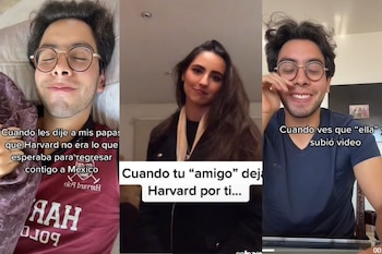 Dejó la universidad de Harvard