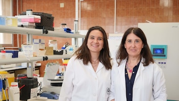 Científicos de la Universidad de Málaga consiguen una morfina menos adictiva y más efectiva contra el dolor