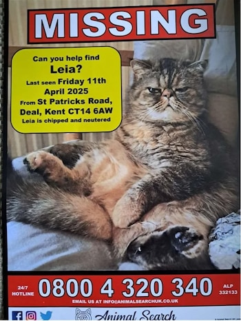 La familia de Leia la