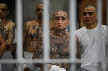 El CECOT está diseñado para