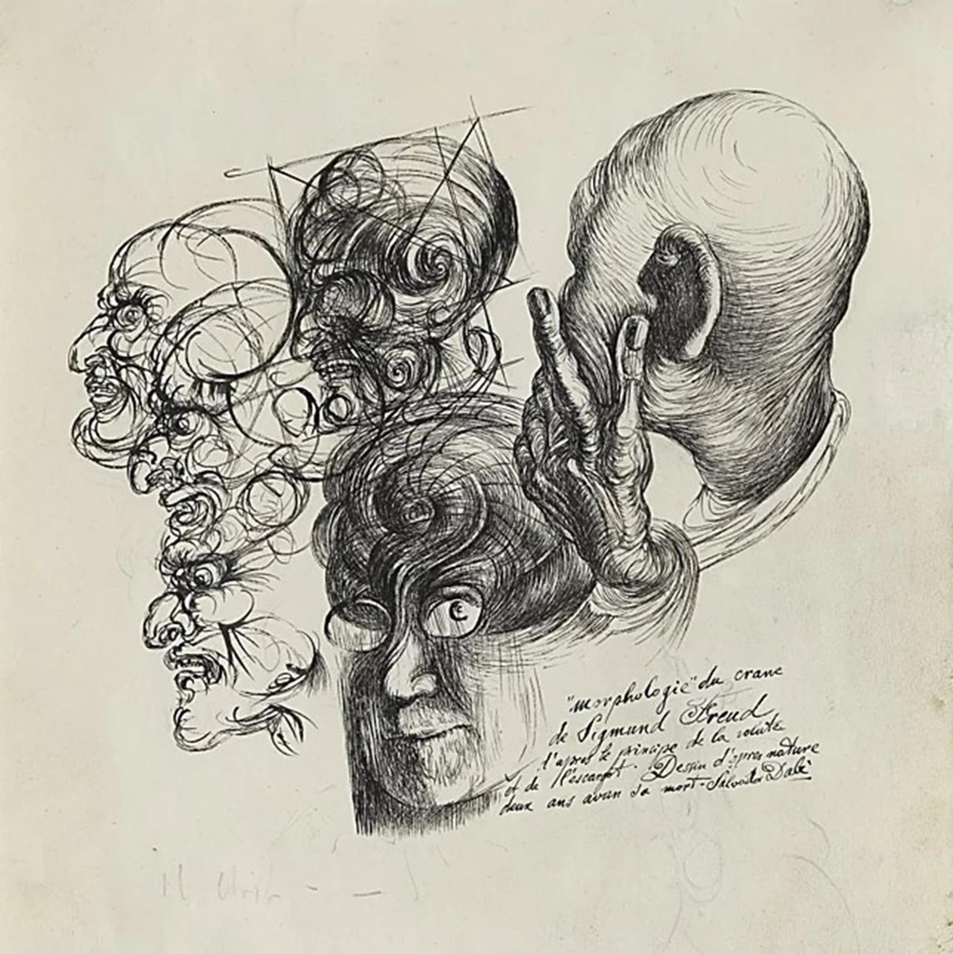 Dibujo de la morfología del cráneo de Freud. Ilustración para el libro 'The Secret Life of Salvador Dalí, 1939-1941'