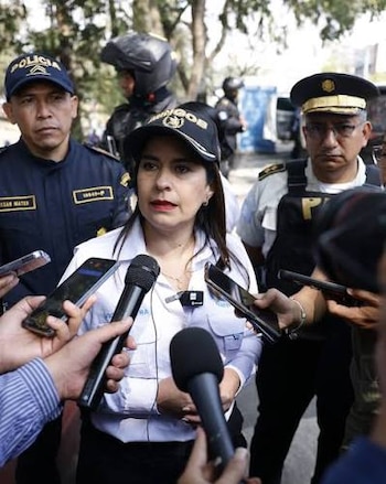 Una mujer con chaqueta marrón habla frente a un micrófono, situada junto a un panel informativo y una cortina