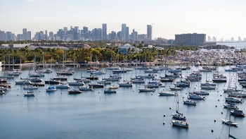 Miami-Dade refuerza la seguridad náutica este 4 de julio con más patrullas y un plan clave para evitar tragedias en el agua