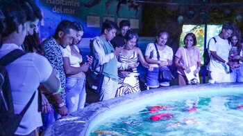 Parque de las Leyendas nocturno: