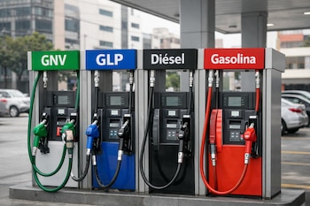 Cuatro surtidores de combustible. Cada uno tiene letreros con los nombres GNV, GLP, Diésel y Gasolina, y mangueras de colores.