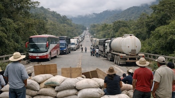 Agricultores arroceros continúan con protestas en San Martín: vías principales siguen bloqueadas mientras situación del paro se agrava