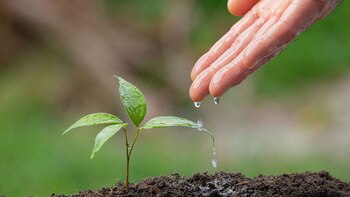 Este desarrollo no solo redefine