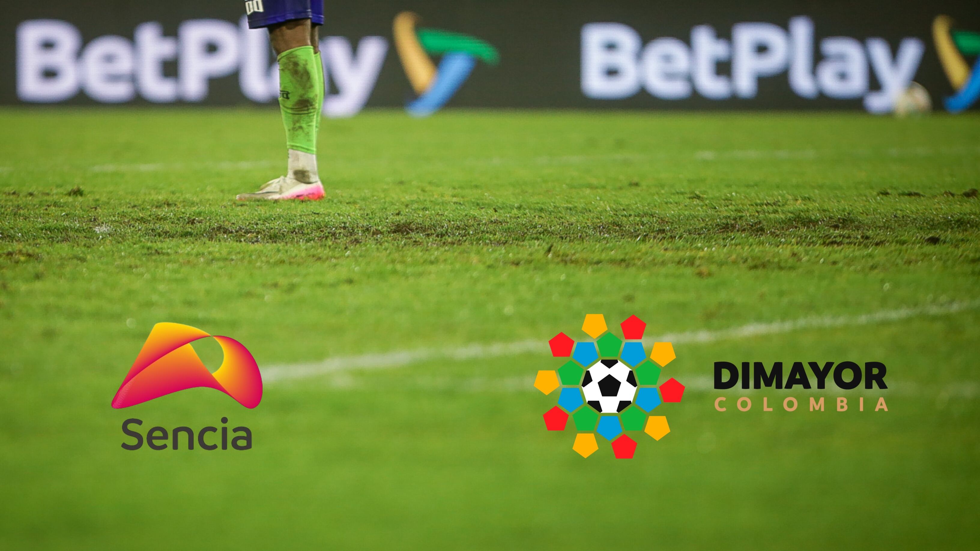 La Dimayor volvió a lamentar el mal estado en el que se encuentra la grama del estadio Nemesio Camacho El Campín - crédito Colprensa