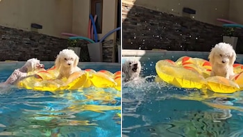 Millones de usuarios disfrutan una