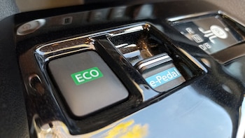 Con solo activar la función